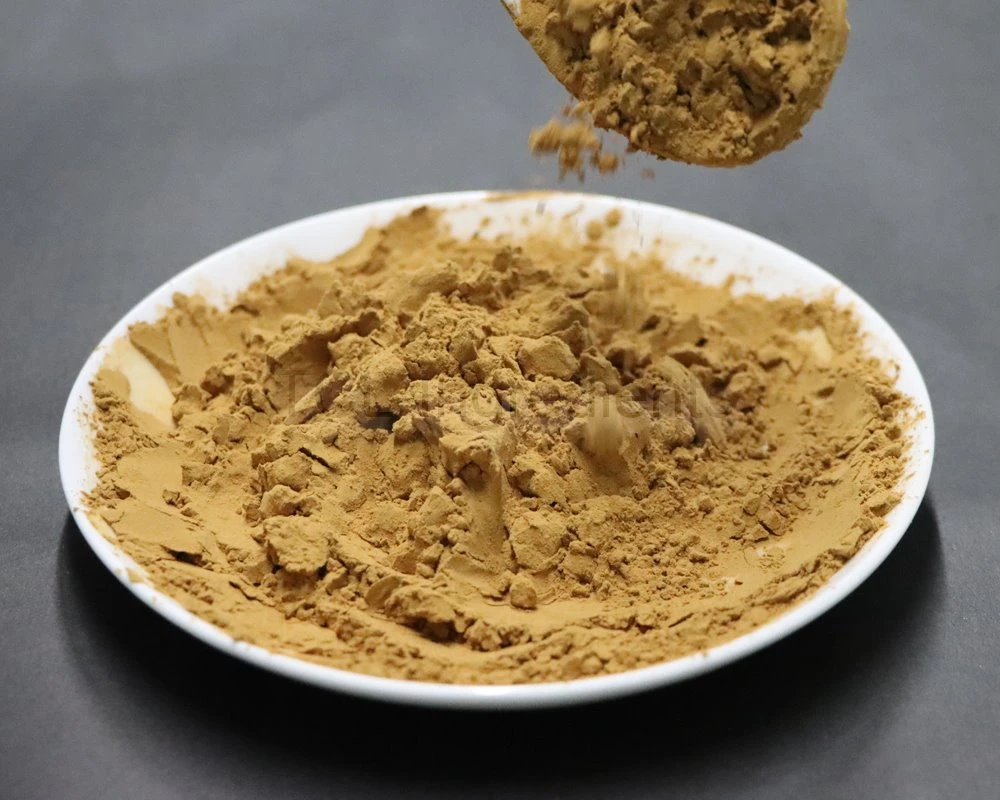 Bearberry leaf Extract browe fine powder