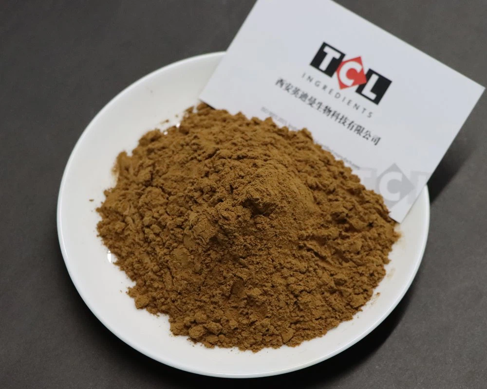 avocado fruit extract super quality