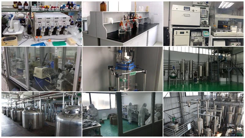 Avocado fruit Extract super factory